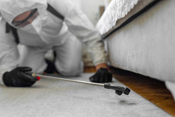 Professional Termite Control technician working in Vance, AL