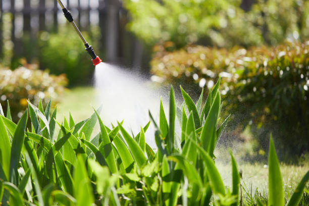 24/7 Emergency Termite Control experts in Vance, AL